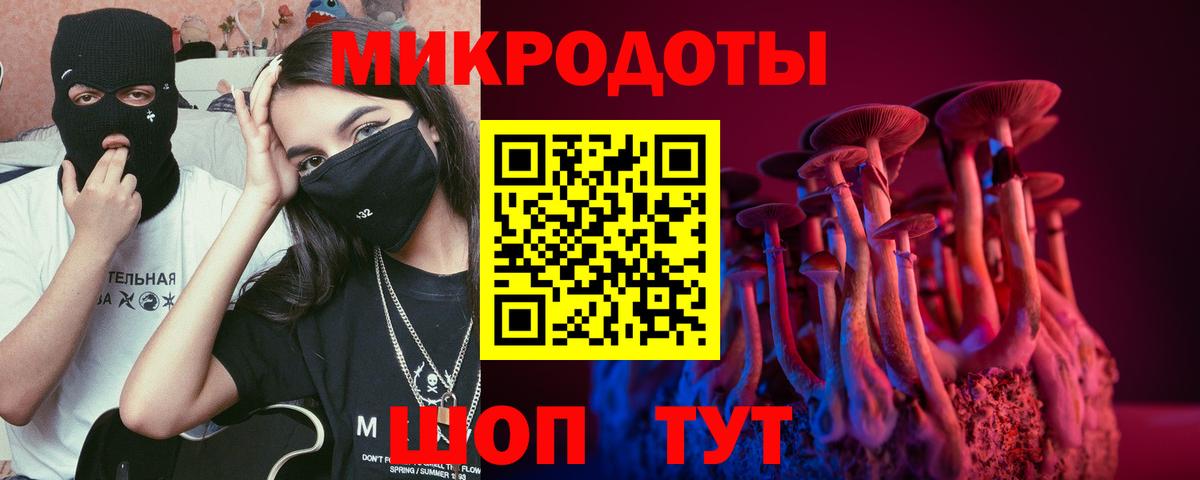Хасавюрт  Галлюциногенные грибы мухоморы  Вход с VPN 